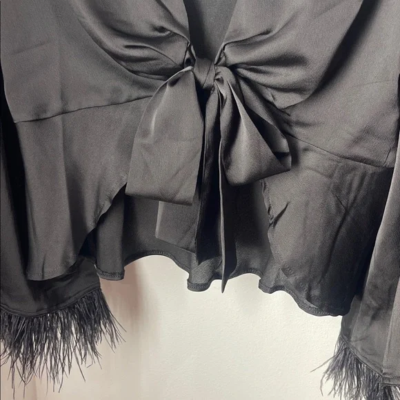 NWT VICI black satin like blouse - Picture 5 of 6